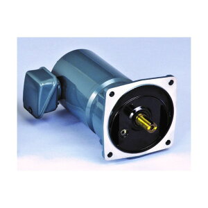 �V�O�}�[�Z�� ���s���P��750W�t�����W��t�`�����@ SMF2-08-100 1�_