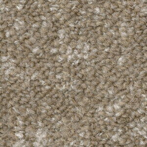 �T���Q�c �^�C���J�[�y�b�g NTH-7140 D-eco �C���~�i�E�A�[�X D ILLUMINA EARTH D 50cm×50cm NTH-71402 1��