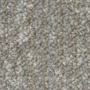 �T���Q�c �^�C���J�[�y�b�g NTH-7140 D-eco �C���~�i�E�A�[�X D ILLUMINA EARTH D 50cm×50cm NTH-71403 1��