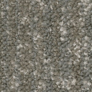 �T���Q�c �^�C���J�[�y�b�g NTH-7140 D-eco �C���~�i�E�A�[�X D ILLUMINA EARTH D 50cm×50cm NTH-71404 1��