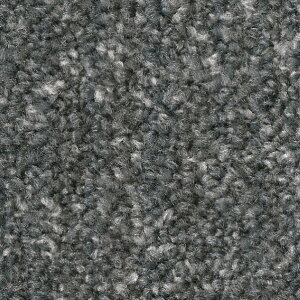 �T���Q�c �^�C���J�[�y�b�g NTH-7140 D-eco �C���~�i�E�A�[�X D ILLUMINA EARTH D 50cm×50cm NTH-71408 1��