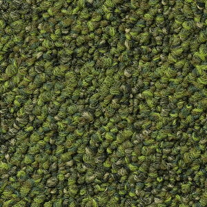 �T���Q�c �^�C���J�[�y�b�g NTH-7110 D-eco �~�b�N�X�v���[�� D MIX PLAIN D 50cm×50cm NTP-71109 1��