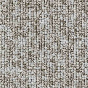 �T���Q�c �^�C���J�[�y�b�g NT-700 F-eco 50cm×50cm NT-70065 1��
