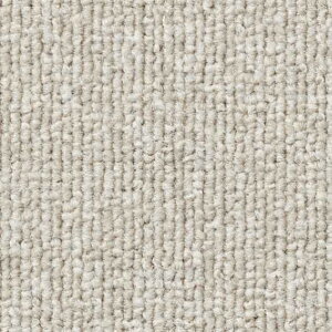 �T���Q�c �^�C���J�[�y�b�g NT-700 F-eco 50cm×50cm NT-70072 1��