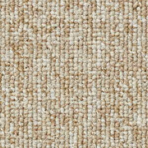 �T���Q�c �^�C���J�[�y�b�g NT-700 F-eco 50cm×50cm NT-70075 1��