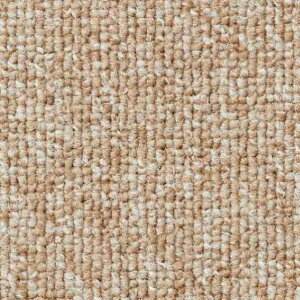 �T���Q�c �^�C���J�[�y�b�g NT-700 S ���ʂ̂�t 50cm×50cm N-70078S 1��