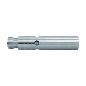 �t�B�b�V���[ FZA 22×100 M12 I �i10�{���j 060763 10�{