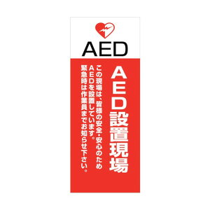 ���@�l��p�i���O���[���N���X AED�Ŕ� AED55-06 6300025706 1�_