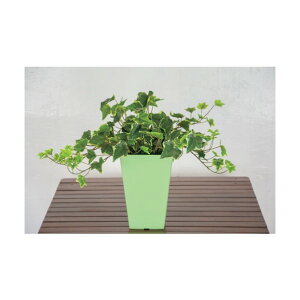 O[NX lH/lHϗtA ACr[ O[ 6300033743 1