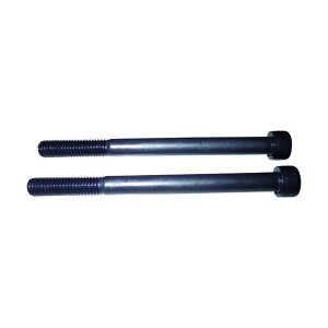 �n�X�R�[ �L���b�v�X�N�����[ M8X100L CP-93DX-22 2��