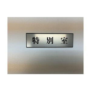 �� �T�C���v���[�g �A���~ 60×200mm PL110-37 1��