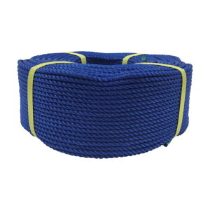 ���^�J���C�N ���[�v PE���[�v���� 5��×200m �u���[ PE-92 1�_