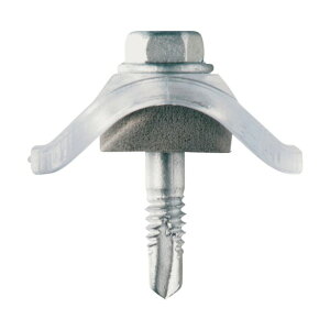 ���Y�� �_���o�i�~�C�^���E�|���J�N���A�[ 5×29 682900P 100��