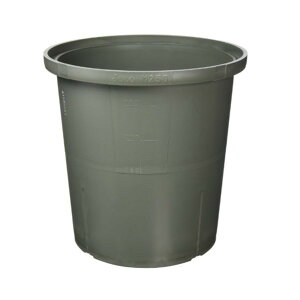 铌vg J}X prjbg M250 1