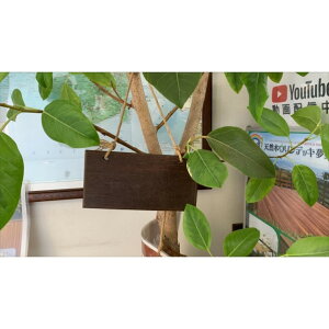 MarvelEX VR؃EfbL Ԃ炳Ă݁` 1Zbg kg U-JHI2203-BRSG01-05 5