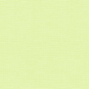 �g�L���H�� �ǎ� PINEBULL ����h�~+���L DIC Color story �z���C�g�E�����[ ��92cm×1m �O���[�� TWP9584 1��