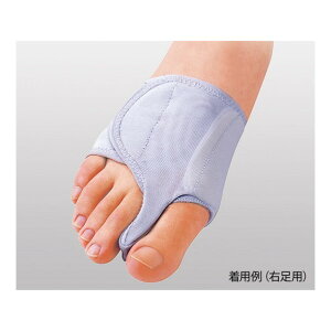 AY OT|[^[m\{EŒ蔖^n 23.5cm|24.0cm|24.5cm|25.0cm 8-8180-03 1
