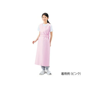 AY pGv LL 8-1589-03 1