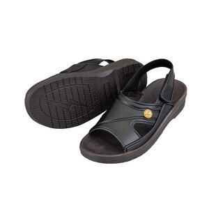 AY AYsAESDT_ M  4-1206-03 1