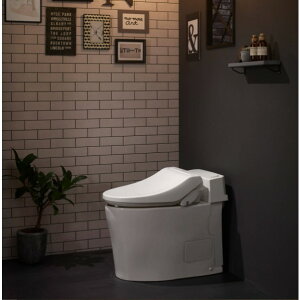 �X�}�[�g�N����III ���r�� ��ʒn �I�t�z���C�g SMA8204SGB/BN8 1��