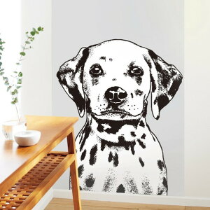 gLH ǎ PINEBULL F쏊 Chien m?chant H2,500mm×W920mm×2.6m O[ TDE50727 1