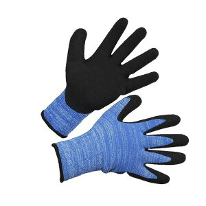 �A�N�������N�єw�������M BL-311400-M 1�o