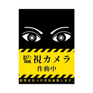 �h�ƕW�� CPS-01P_225×300 �Ď��J�����쓮�� 6300046233 1��