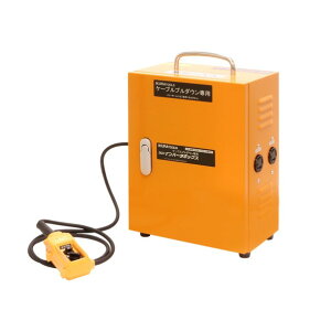 �C���o�[�^�{�b�N�X200V (10187) ISK-V200PD 1��