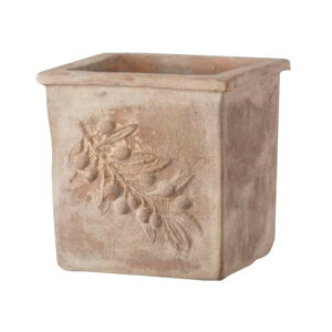 @lpiI[Nu AeBR I[u XNGA[ AeBR 45cm GP3-78145 1