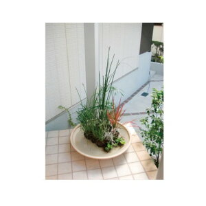 I[Nu ^ i`}bg MZ3-LB60N 1