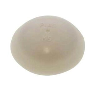 �s�A�X�L���b�v PAN M5 0465�V���o�[�O CP504 300�{