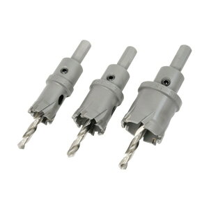 ���d�����O�z�[���\�[ LST-42 1�_