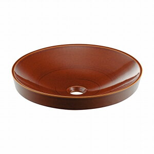 �J�N�_�C �ی^���ʊ� �� 493-049-BR 1�_