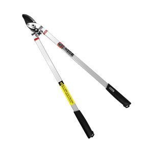 �m�[�u�����h �֐n�����}���� L-81 1�{