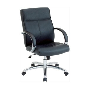 �i�J�o���V �G�O�[�N�e�B�u�`�F�A RZE-A210BK 1��