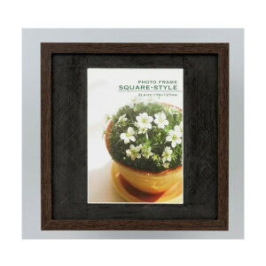 �ؐ��X�N�G�A�t���[��/2L/�u���E�� �t-TQW-301-BR