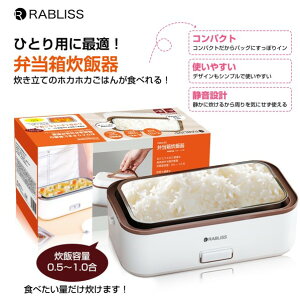 RABLISS �������ٓ������ъ� ����245mm×����95mm×���s125mm �z���C�g KO172 1��