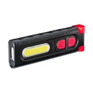 LED���[�N���C�g PM100R 30687