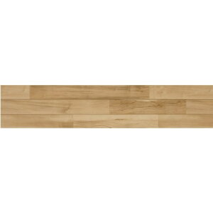 CvCEbh ؎mV VGV[O _^Cv 1818mm×300mm CgCv YC-6S6-LM 1_