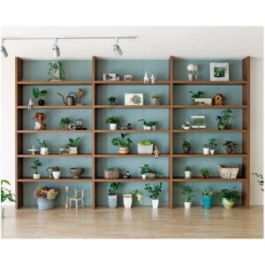 CvCEbh ubNVFt[ tBNTX ǖ(Vv^Cv) _[NEH[ibg AR000020DJ 1Zbg