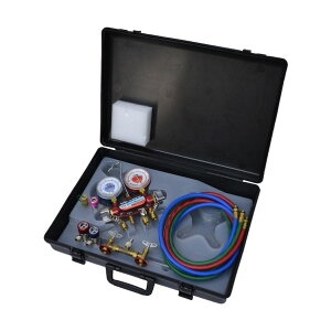 HFO-1234yf�EPOE�p 2�o���u�K�X�`���[�W�Z�b�g CP-2VS-YFE 1S