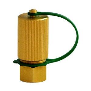 HFO-1234yf�p �ȈՃW���C���gYF�v���O�i�L���b�v�t�j �|���v�p CP-GK-VCP