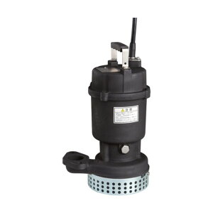 DS�^�����p�����|���v 50Hz ���a100mm 100DS57.5A