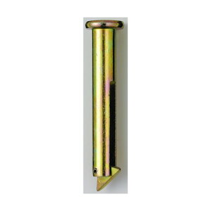 �p�l���Q�[�g���i �p�l���~�߃s�� �S�[���h CGB-K-30 1��