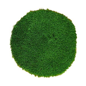 �C�t�~�b�N �X�g���X�����[�o�[ �ґz�}�b�g ���~���a60cm �l�H�� 6300054103 1��