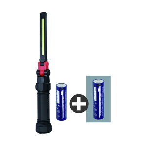 �y���ʌ���L�����y�[��10�����{���ח\��z �[�d�r�Z�b�g COB LED���ڏ[�d�����[�N���C�g GanzX233 GZ-X233-SET