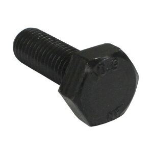���x�敪10�D9 �Z�p�{���g �S�˂� M36x70 BT-109-F-3670B