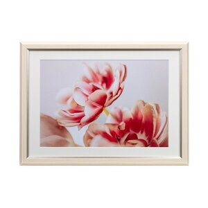 �z�� 1399470 �E�b�h���t���[�� �O���C�X�����EMiu ���C�h�l��/A3���p �A�C�{���[ JGM-W4-IV 1399470 JGM-W4-IV