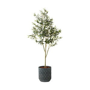 �l�H���؁i�I���[�u�j �u���[ AGF141RP-BL 1��