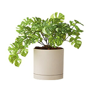 �l�H���؁i�����X�e���u�b�V�� �O���[ AGF110TRP-G 1��